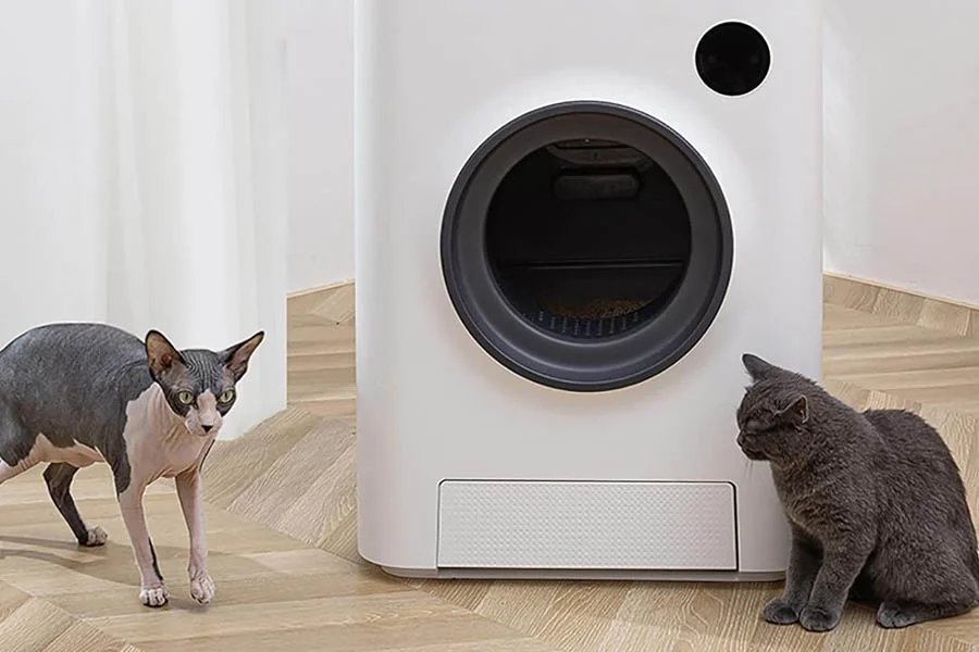 auto clean kitty litter box